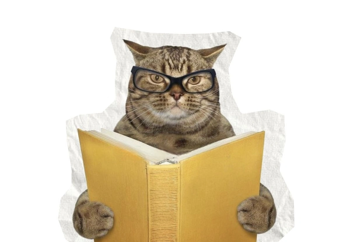 A humorous image of a cat wearing glasses while holding and “reading” a large yellow book, creating a playful, intelligent, and studious vibe.