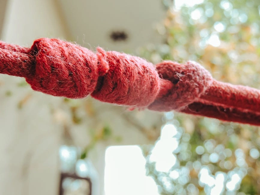 Detailed close-up of red rope with knots against a bokeh background, highlighting texture and focus.