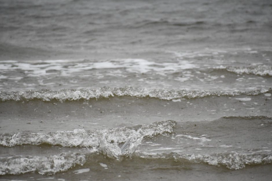 A serene view of gentle ocean waves on a calm sea, ideal for nature-themed projects.