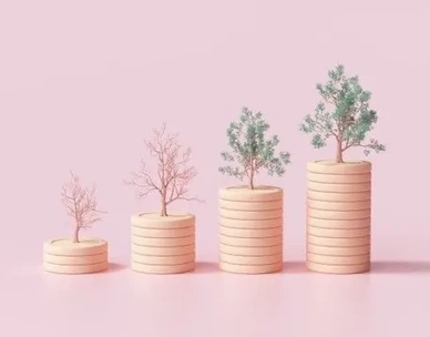 The Stability Gap: Why Most Fansly Creators Plateau After Early Growth